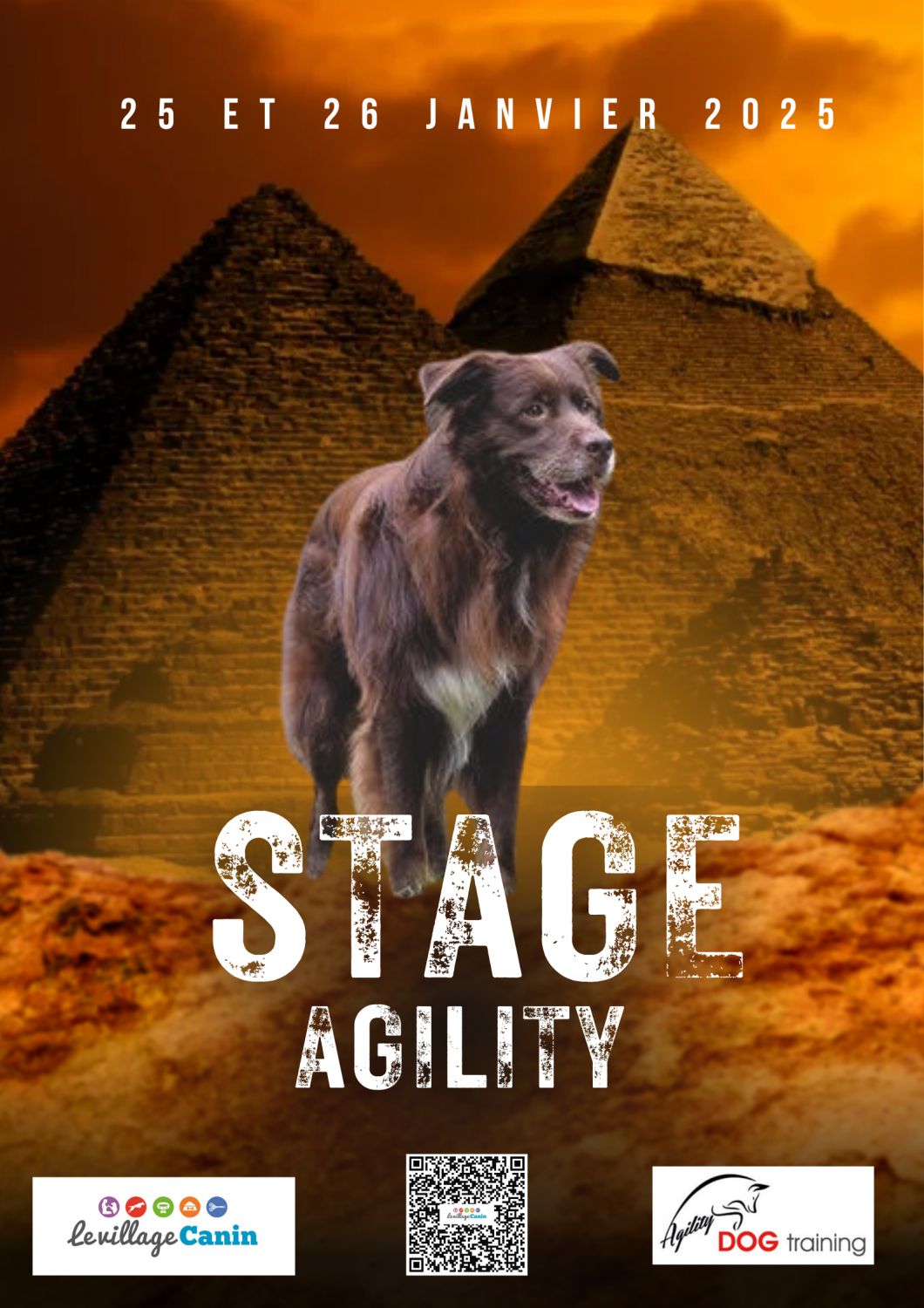 Stage agility janvier 2025