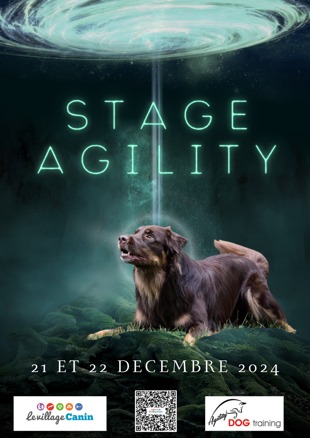 Stage agility février 2025