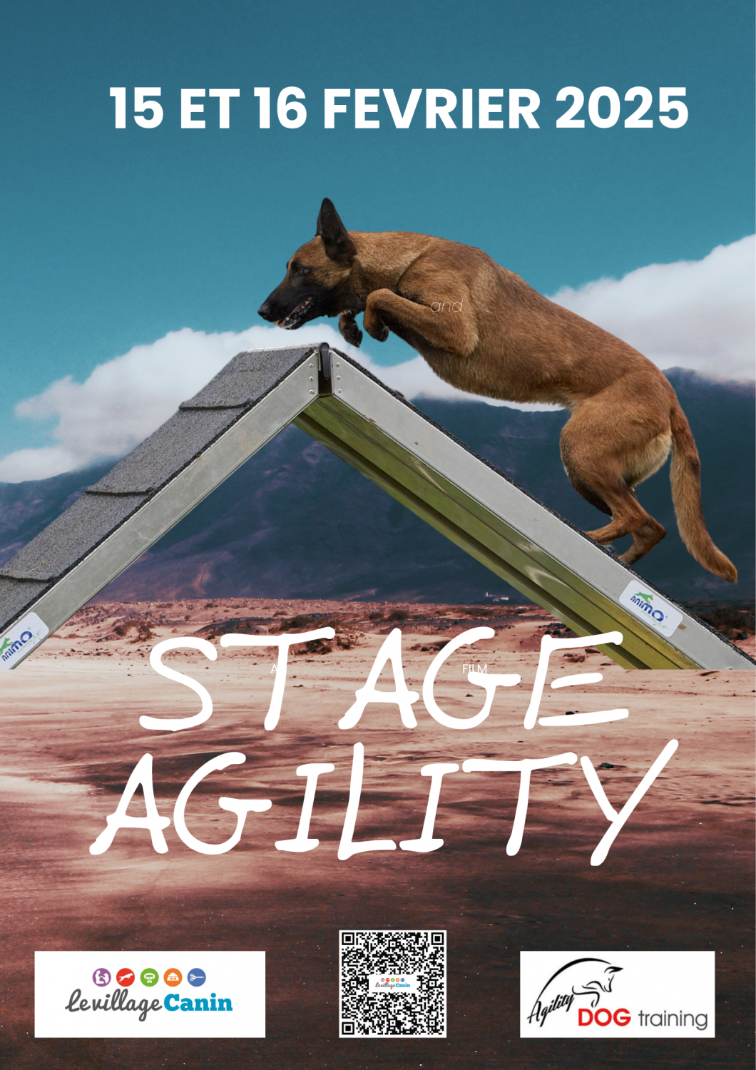 Stage agility février 2025