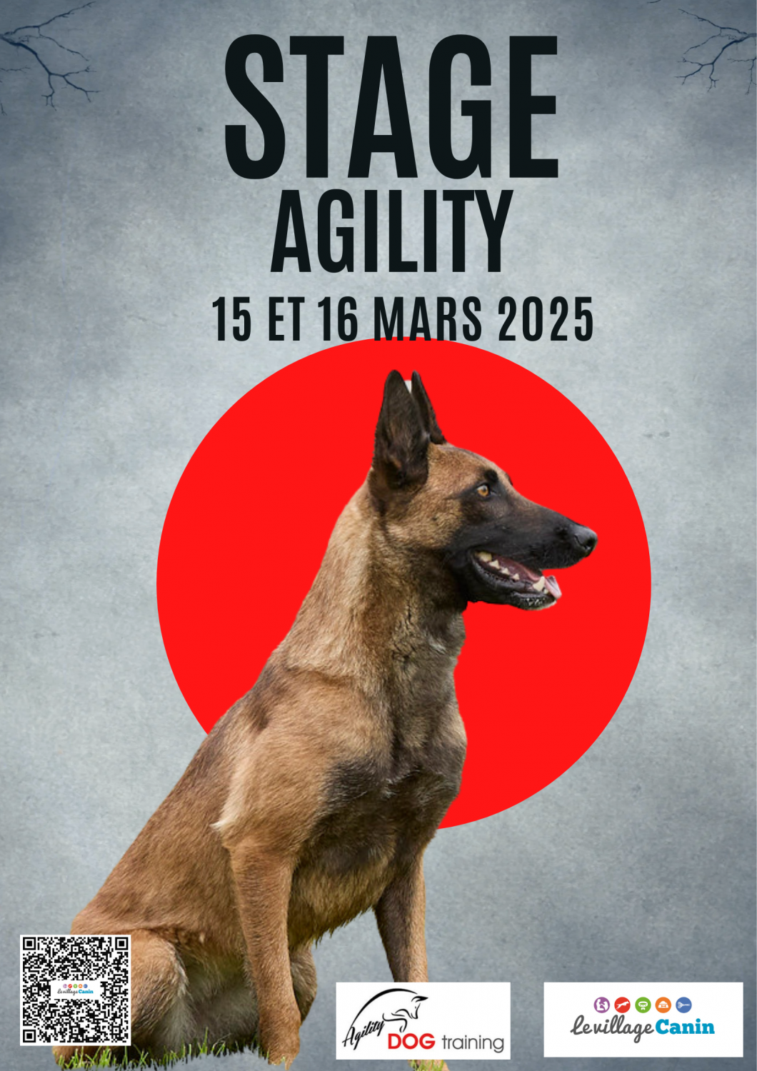 Stage agility mars 2025