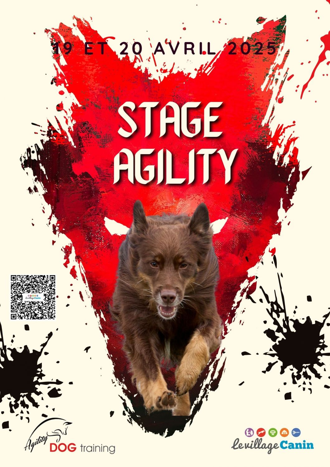 Stage agility avril 2025